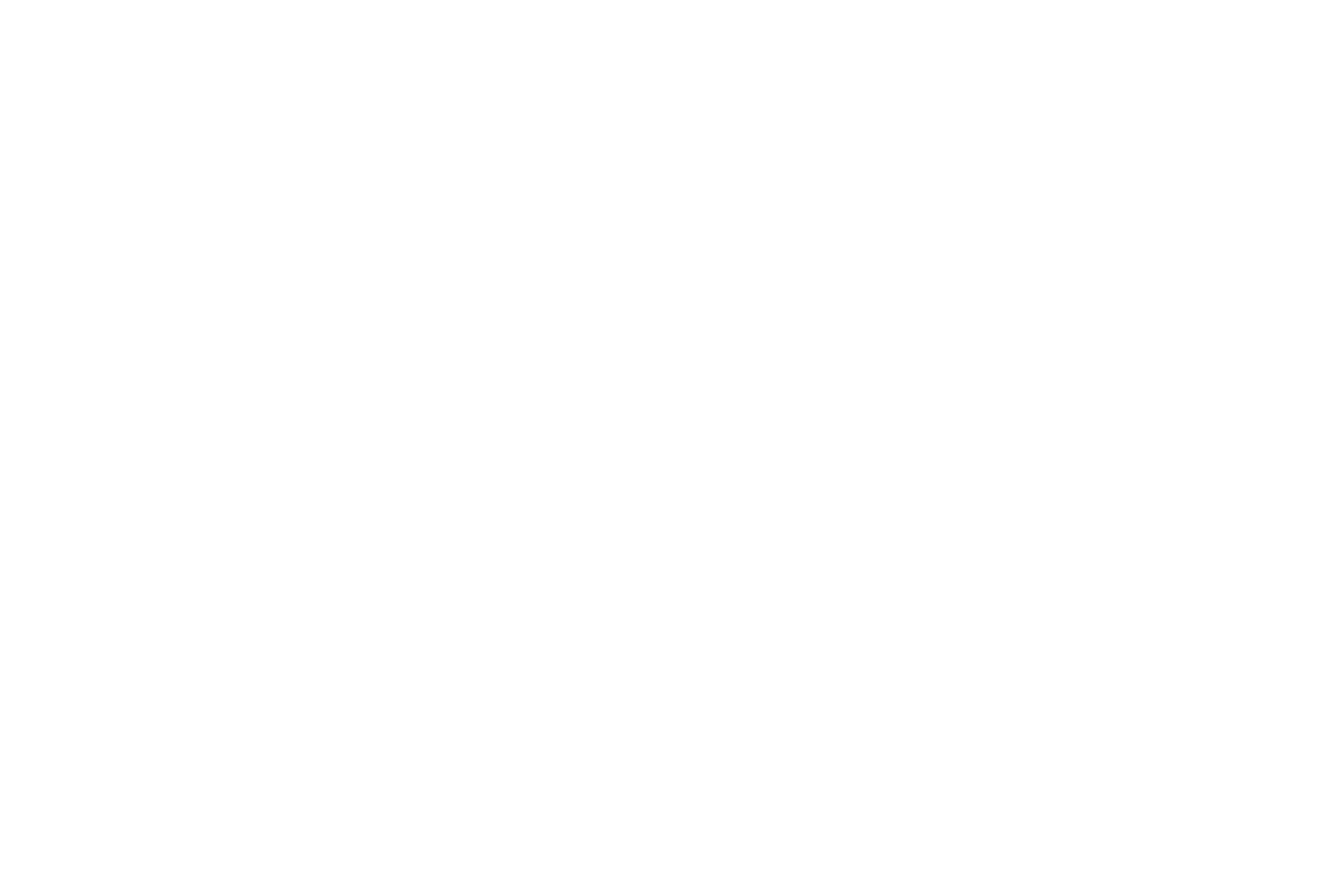 Markdown Logo