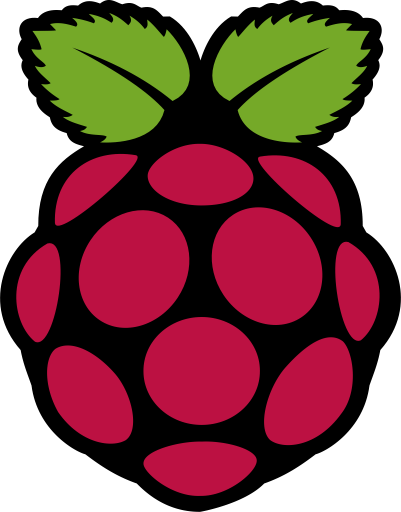 Raspberry Logo